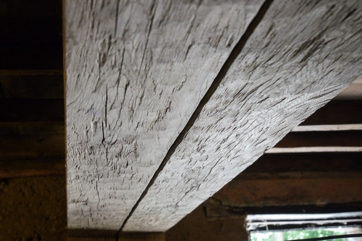 Texture du bois équarri à la hache